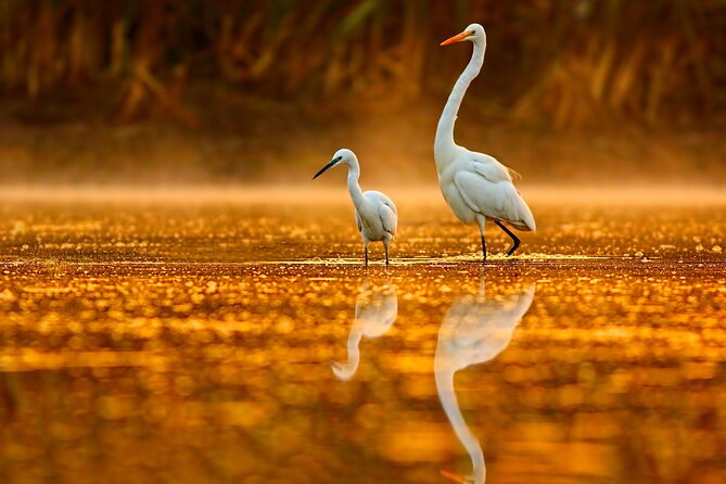 Serenity Cruise to Australias Everglades - Weather Considerations