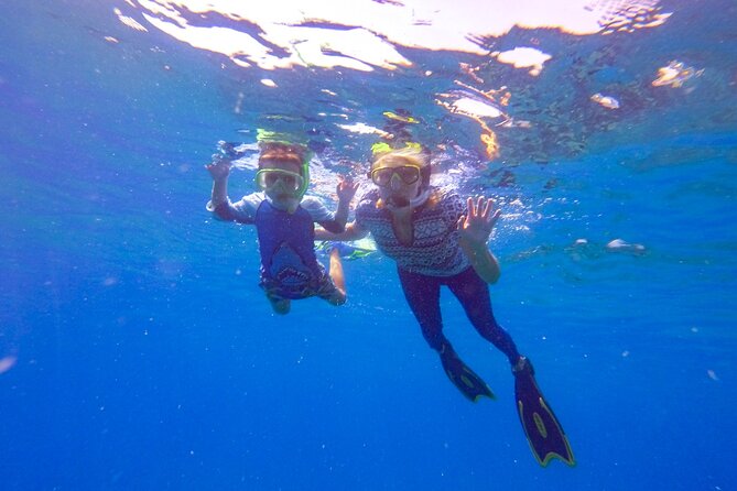 Shared 2 Hours Sosúa Bay Snorkeling With Professional Guide - Booking Details