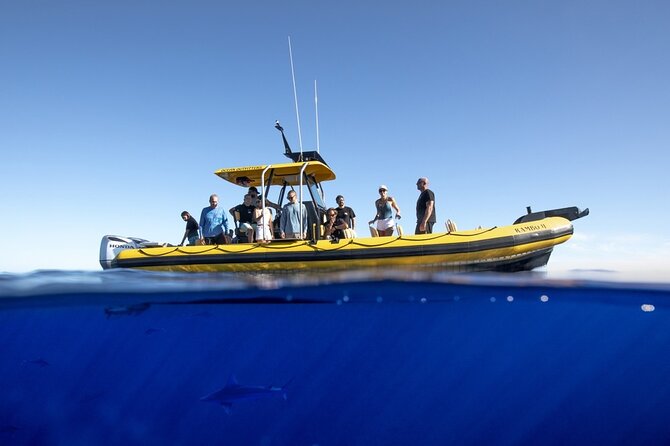 Shark-Dive Tour on Oahus North Shore - Pricing and Booking Options