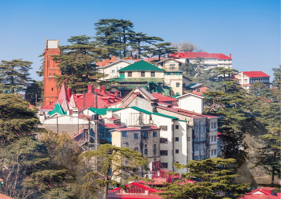 Shimla Nature Walk (3 Hours Guided Trekking Experience) - Culinary Delights