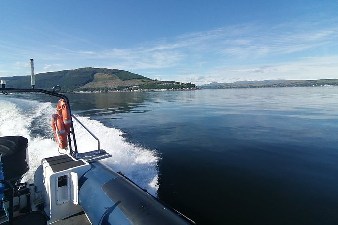 Shipwreck Hunters - Wildlife Encounter Opportunities