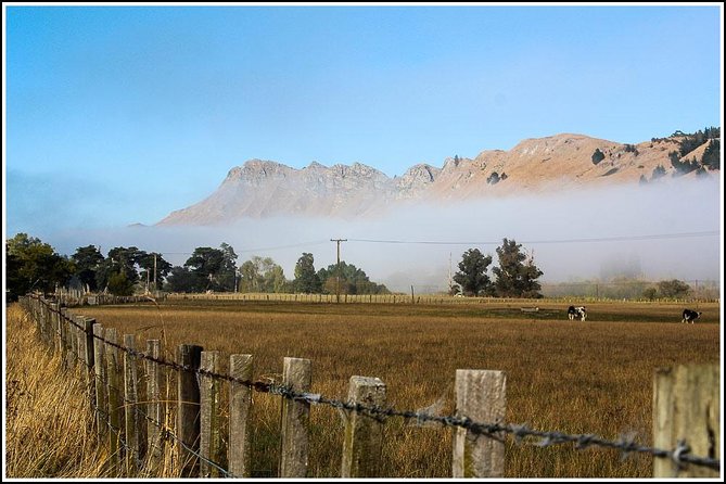 Shore Excursion: 4 Hour Premium Hawkes Bay and Napier Tour - Inclusions and Amenities