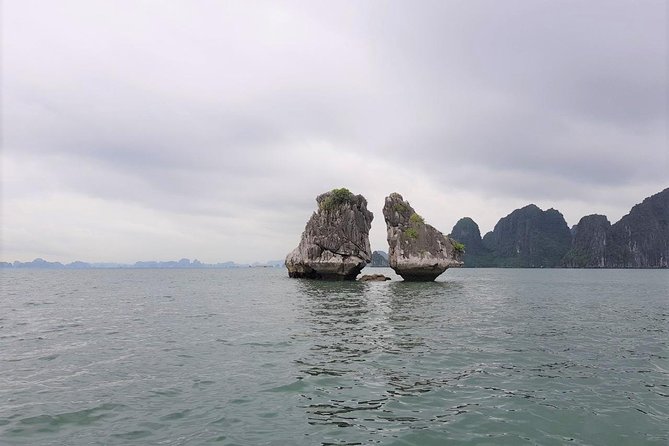 Shore Excursion: Amazing Day Cruise at Ha Long Bay - Traveler Reviews