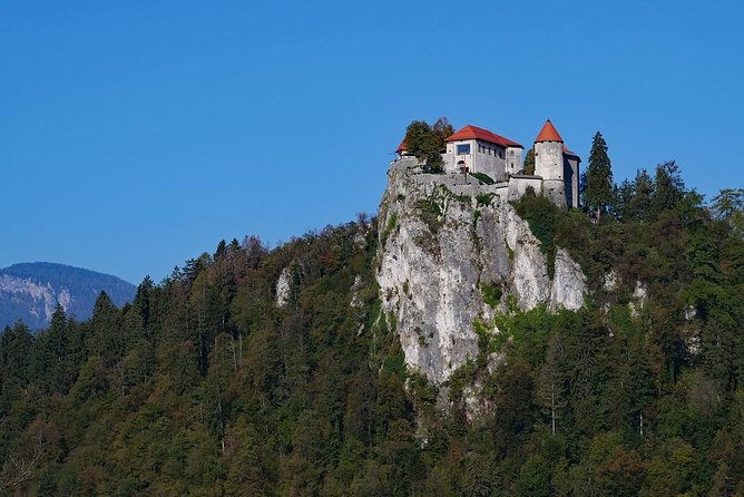 Shore Excursion/Day Tour to Lake Bled and Ljubljana From Koper - Accessibility and Requirements