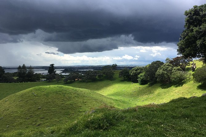 Shore Excursion: Half-Day Auckland Volcanoes Tour - Meeting and Pickup Information