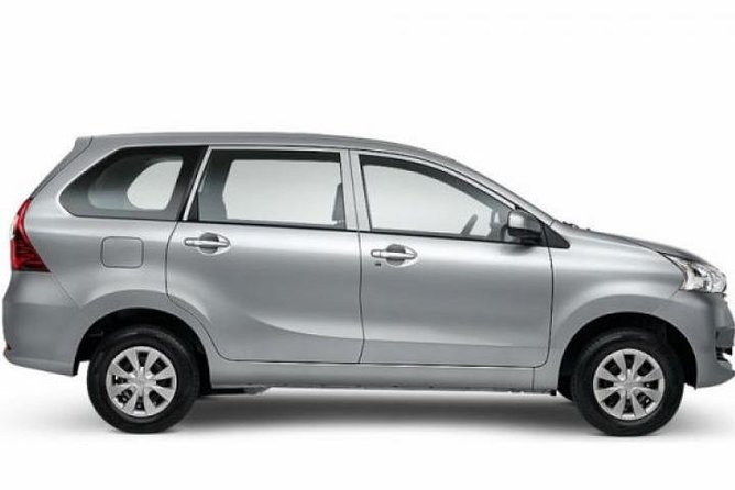Shore Excursion: Private Bali Car Rental Service - Accessibility and Restrictions
