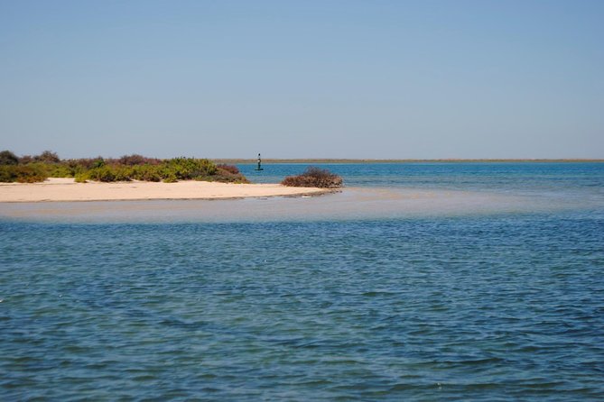 Short Boat Trip of the Algarves Ria Formosa Lagoon From Faro: 1 Hour - Accessibility Information