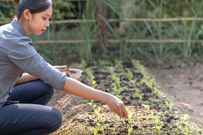 Siem Reap Morning Culinary & Culture Tour - (Vego Also Available) - Cultural Insights