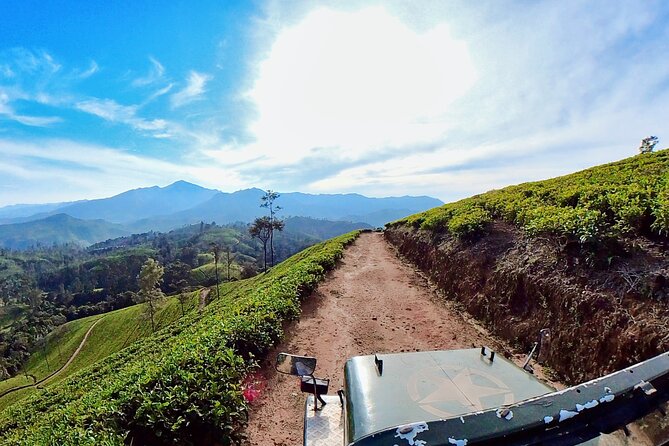 Sightseeing Tour Ella & Diyaluma Waterfall by Car - Meeting and Pickup Details