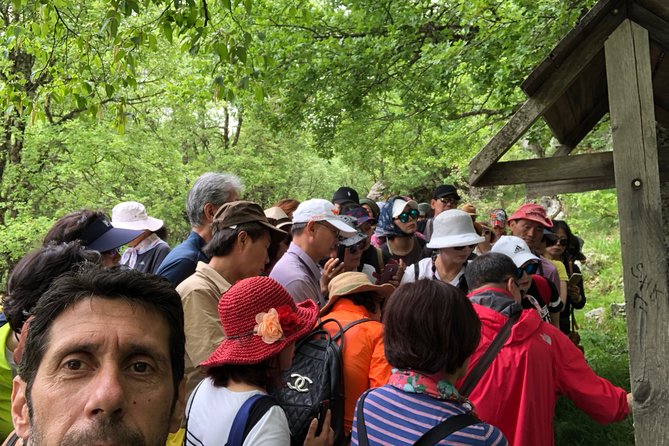 Sightseeing Zagori Daily Tour - Meeting and Pickup