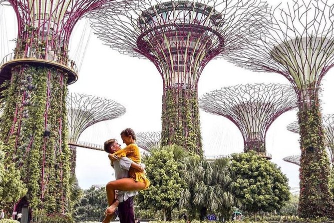 Singapore Instagram Tour By Car (Private & All-Inclusive) - Why Choose This Tour