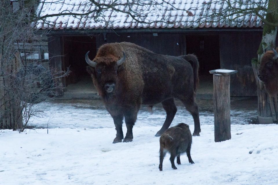 Skansen Stockholm Fast-Track Tickets, Private Tour - Inclusions of the Tour
