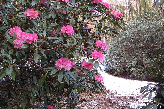 Skip-the-Line: Botanic Garden Entry Ticket - Booking and Cancellation Policy