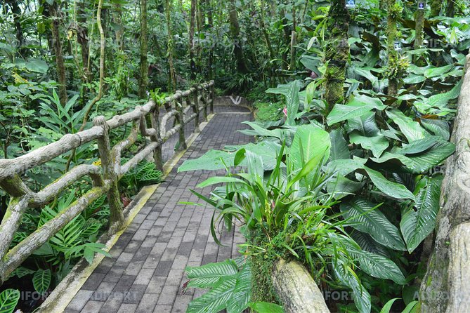 Skip-the-Line La Fortuna Waterfall Admission Ticket - Safety Considerations