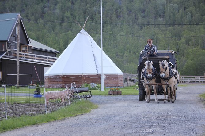 Sleigh Ride W/ Snacks - Experience Arctic Farm Life - Recommendations From Visitors