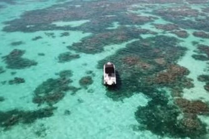 Small Day Cruise (Islet, Mangrove, Coral Reef) - Additional Information