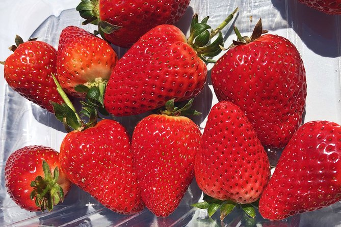 Small Group Adelaide Hills and Hahndorf Hideaway Tour From Adelaide - Culinary Experiences