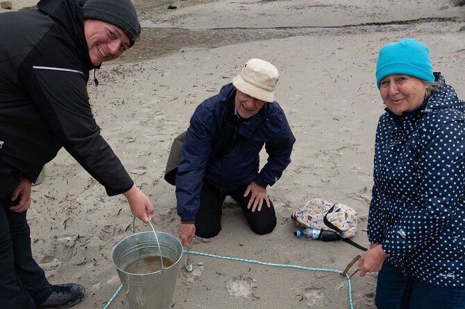 Small-group Arctic Landscapes Sightseeing - With Citizen Science - From Tromso - Group Size and Duration