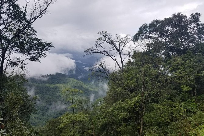 Small Group - Bach Ma National Park Trekking Tour From Hue - Reviews and Feedback