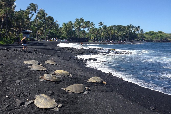 Small-Group Big Island Tour: Hawaii Volcanoes National Park and Kona Coffee Farm - Inclusions and Requirements