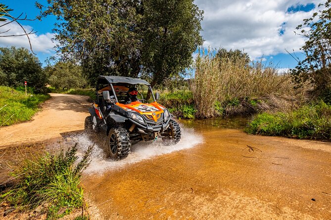 Small-Group Buggy Riding Safari in Algarve - Safety and Accessibility