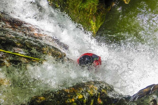 Small Group Canyoning in the Pollino National Park - Customer Reviews and Feedback