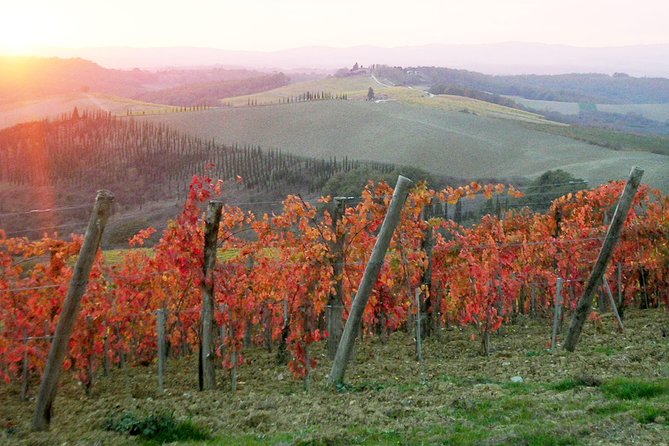 Small-Group Chianti and San Gimignano Sunset Trip From Siena - Meeting and Drop-off