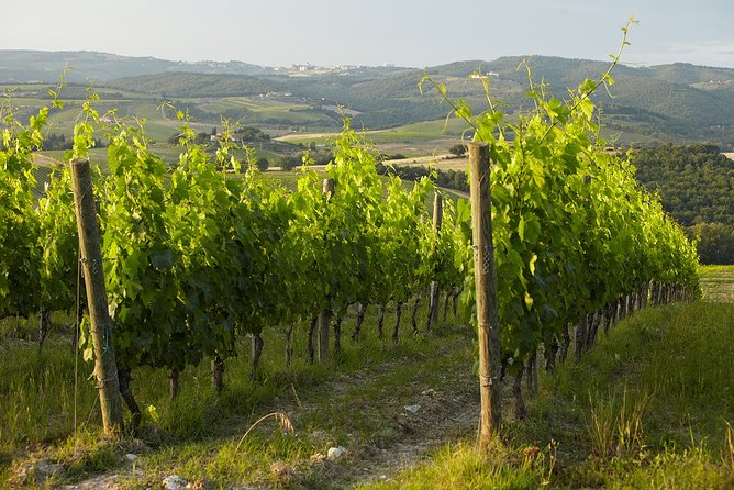 Small-Group Chianti Trip With Wine Tasting From Siena - Dramatic Italian Castles