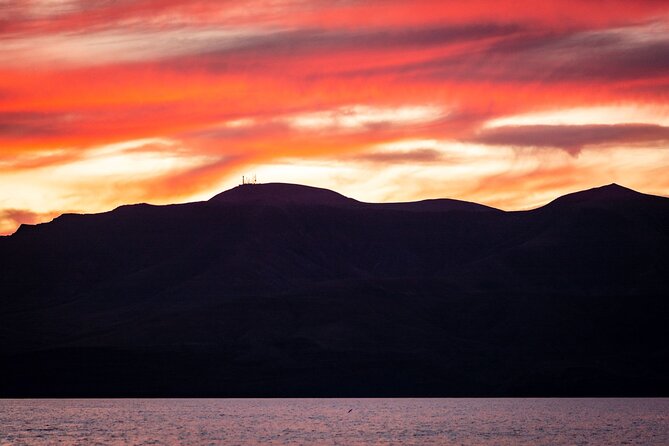 Small Group Dolphin Sunset Tour on Electric Catamaran Lanzarote - Booking and Cancellation Policies