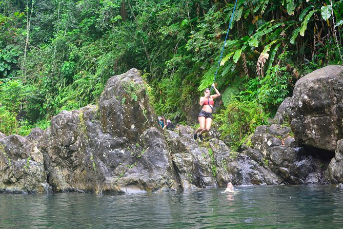 Small-Group El Yunque Rainforest Vivid Day Tour With Transport - Knowledgeable Professional Guide