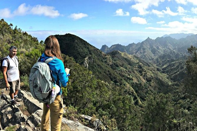 Small Group Guided Hiking in Anaga Rural Park in Tenerife - Exploring the Natural Beauty