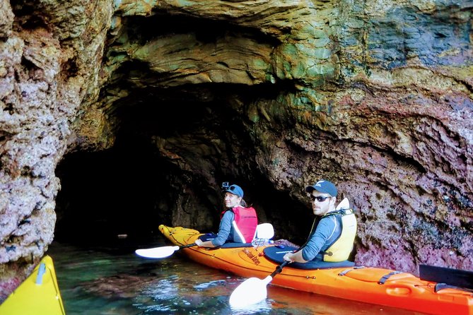 Small Group Guided Sea Kayaking in Akaroa Marine Reserve - Participant Requirements and Restrictions