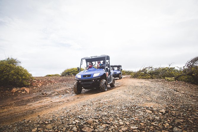 Small-Group Half-Day UTV Adventure Morning Tour in Aruba - Discovering Hard-to-Reach Locations