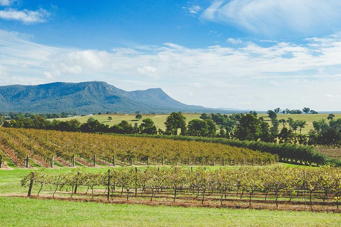 Small-Group Hunter Valley Wine & Cheese Tasting Tour From Sydney - Pricing and Booking Information