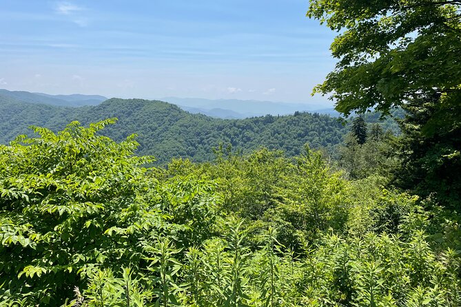 Small-Group Jeep Tour of Smoky Mountains Foothills Parkway - Suggestions for Improvement