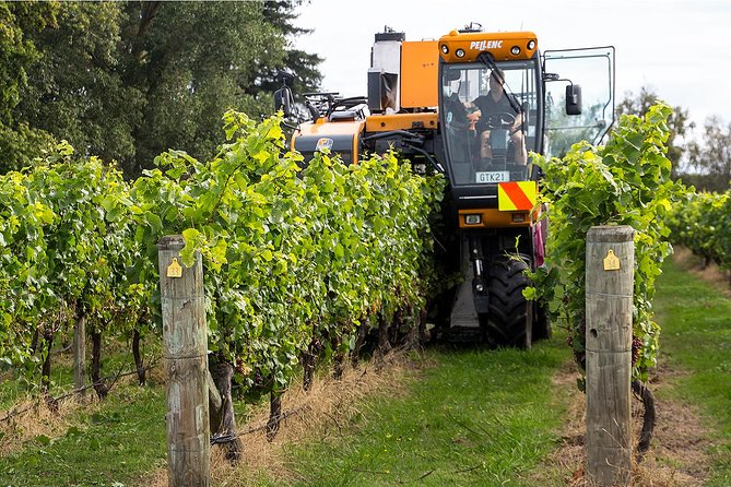 Small Group - Napier Wine Experience Tour - 5.5 - 6 Hours - Accessibility Features