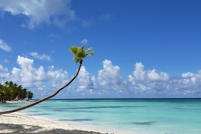 Small Group: Saona Island Full Day Tour - Tour Details