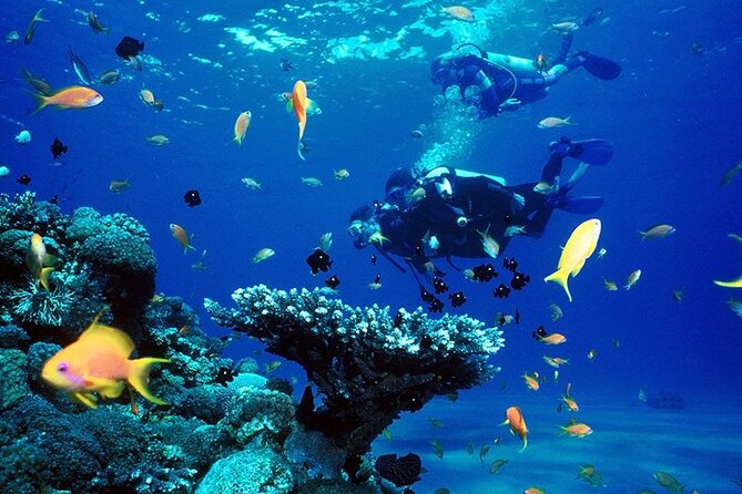 Small Group Scuba Diving Experience in Maiton Private Island - Age and Health Requirements