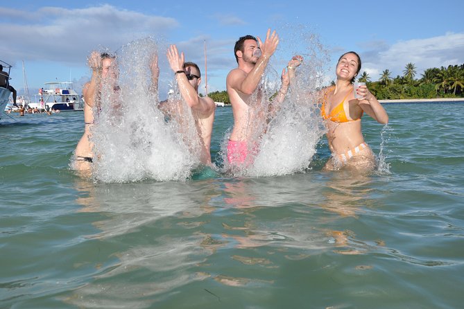 Small Group Snorkeling, Sharks & Stingrays Encounter by Boat - Booking Your Experience