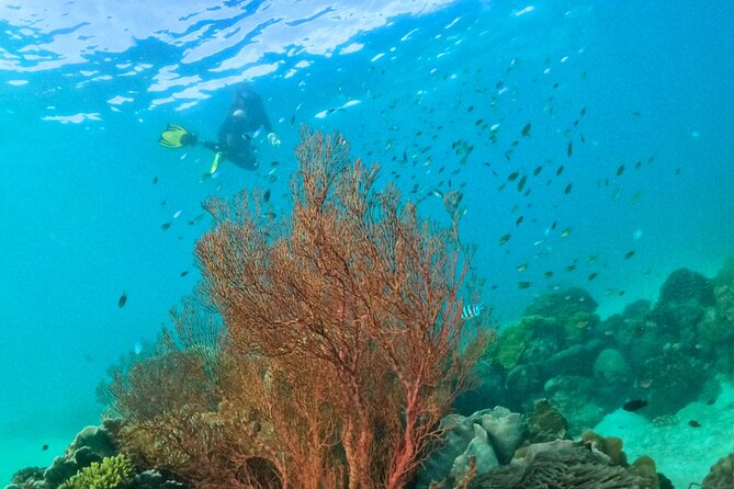 [Small-Group] SNORKELING & SUNSET MEAL at Private Beach-Max 9 PAX - Group Size Benefits