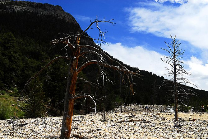 Small-Group Tour of the Rocky Mountain National Park From Denver - Traveler Experiences