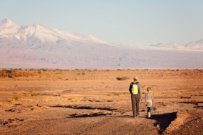Small-Group Tour to Moon Valley From San Pedro De Atacama - Booking Your Tour