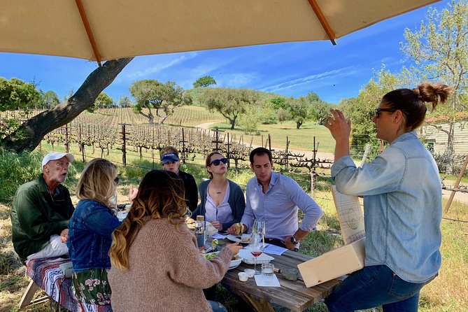 Small-Group Wine Tour to Private Locations in Santa Barbara - Engaging With Winemakers