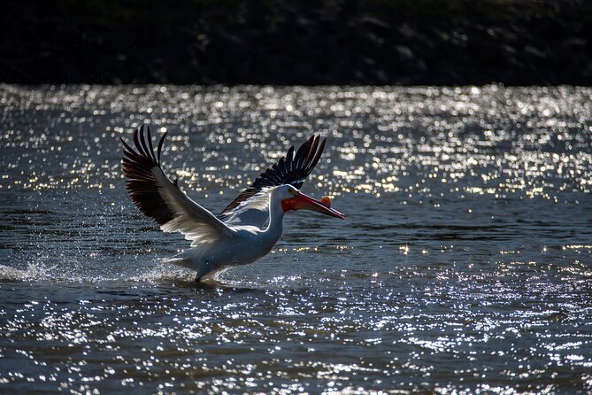 Snake River Scenic Float - Inclusions for Guests