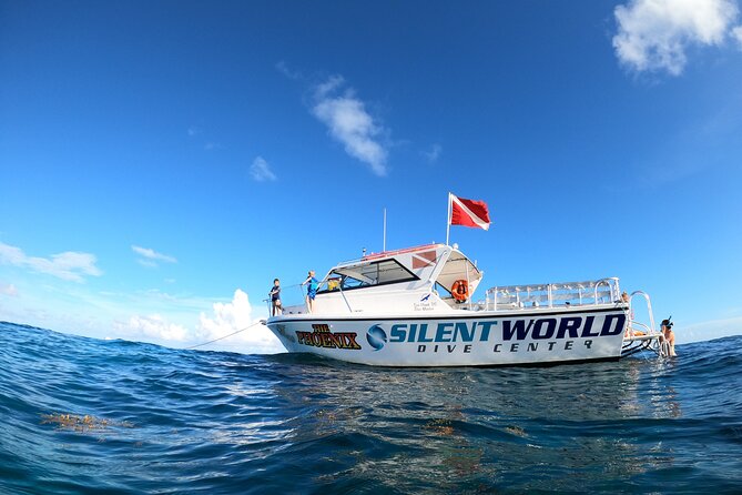 Snorkel Key Largo on Our COMBO Boat With Snorkeling Gear INCLUDED - Recommendations for Travelers