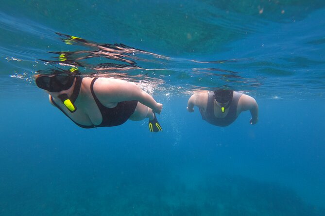 Snorkeling Adventure in Aguadilla - Marine Life to Expect