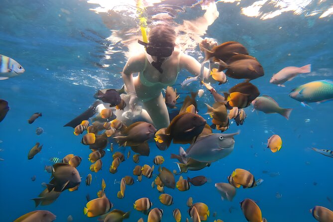 Snorkeling In Nusa Penida Departing From Bali Island - Cancellation and Refund Policy