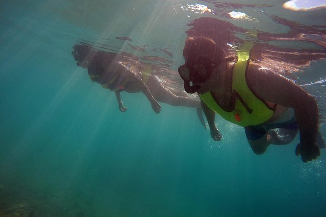 Snorkeling Lesson & Interactive Experience for Kids and Adults - What to Expect During the Lesson