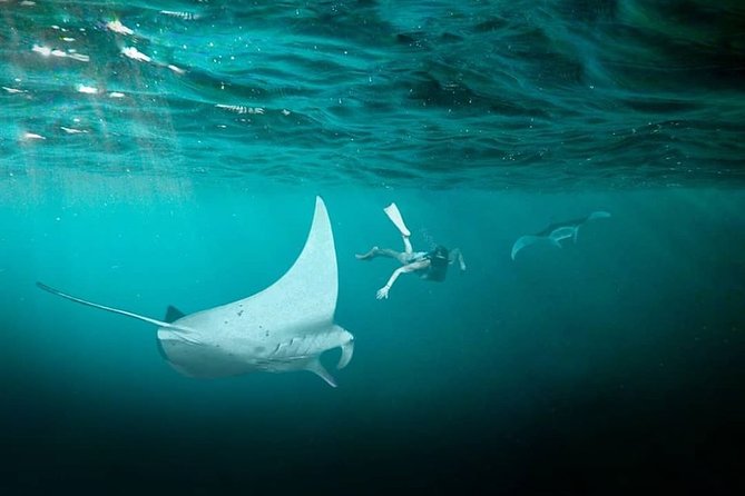 Snorkeling Manta Ray Safari in Nusa Penida - Group Size and Meeting Point