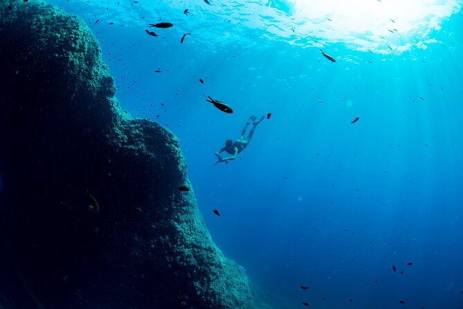 Snorkeling With Marine Biologist Expert From Sorrento - Snorkeling Equipment Provided